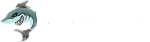 Winshark casino